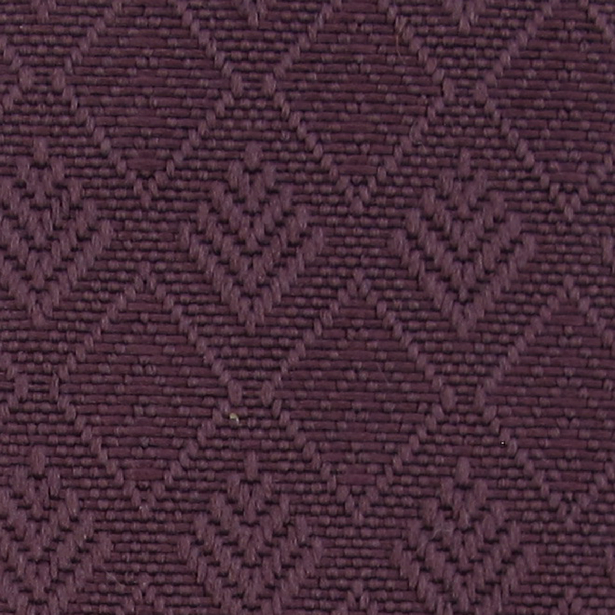 Eggplant 49