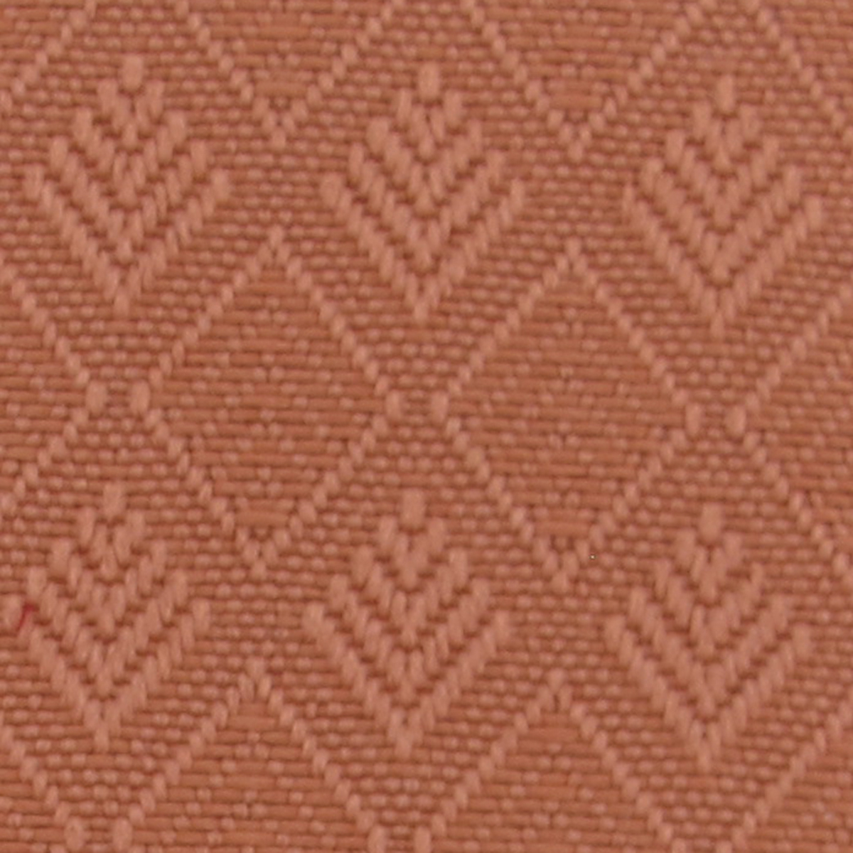 Auburn 56