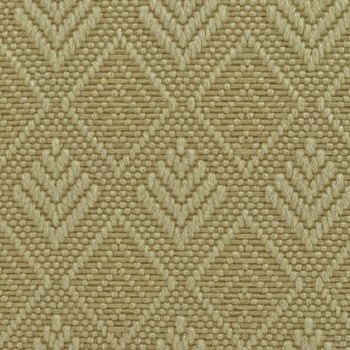 Kiwi 66 NEW
