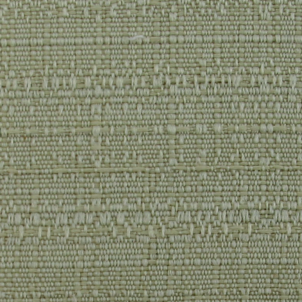 Palm 35