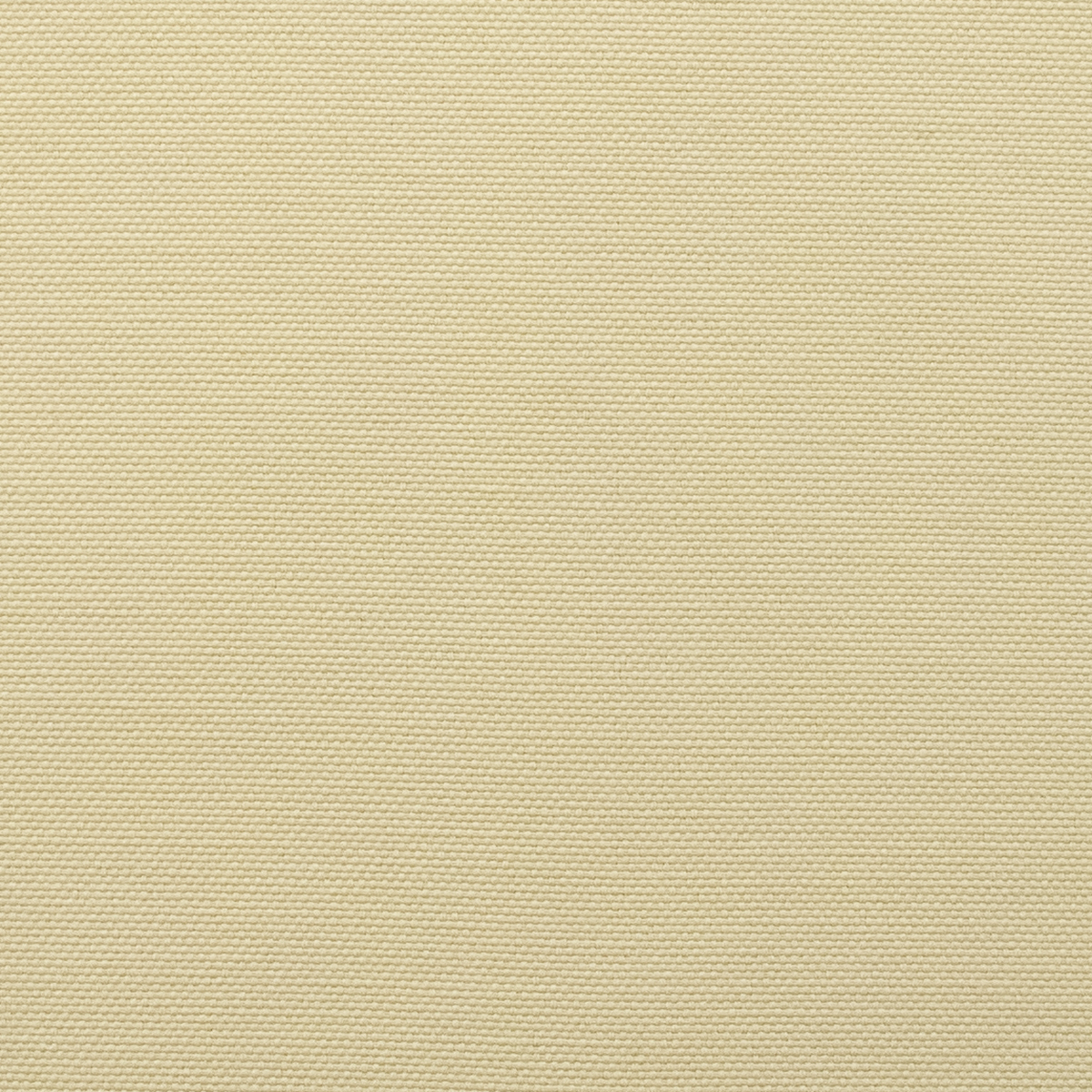 Parchment 16