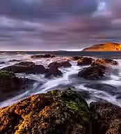 Kapiti.avif