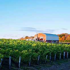 norman-hardie-winery.jpeg