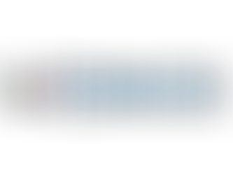 flutter-developer-2024