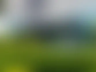 A leading software Company - accenture