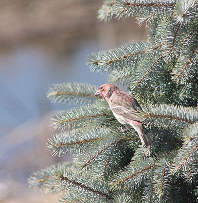 IMG_3896_edited.jpg