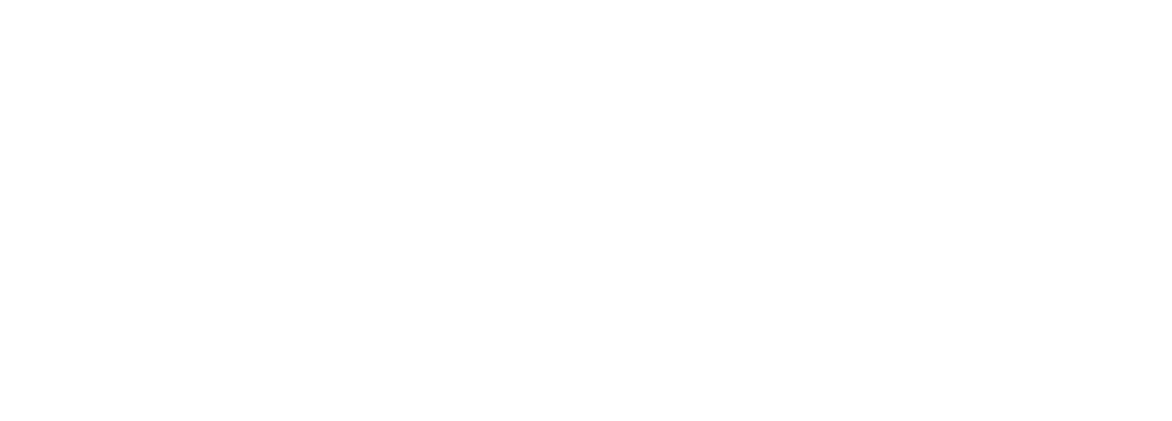 ActivFeet Icon logo wht.png