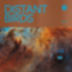 Distant Birds Volume 01