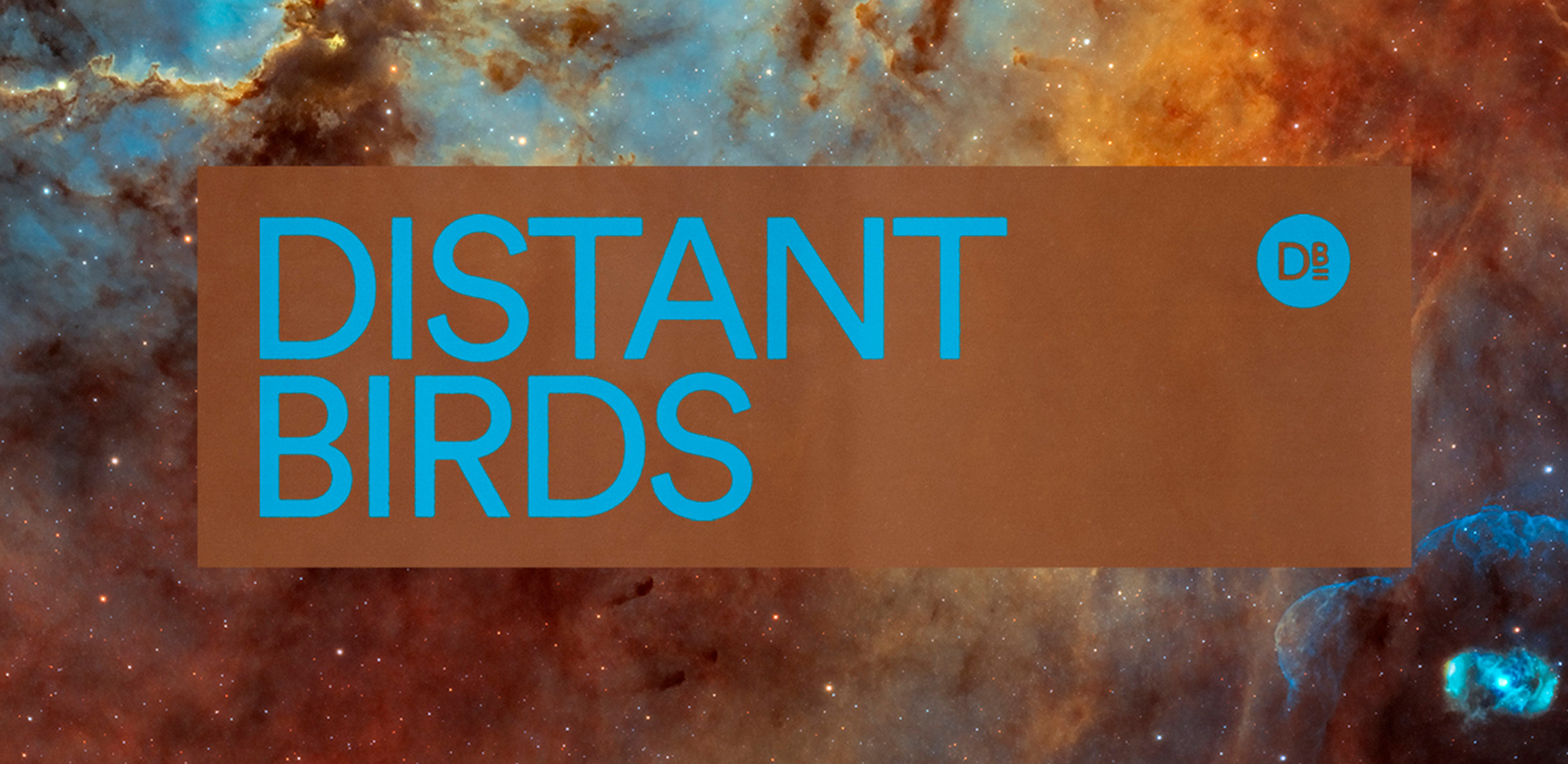 Distant Birds ABOUT | Distant Birds