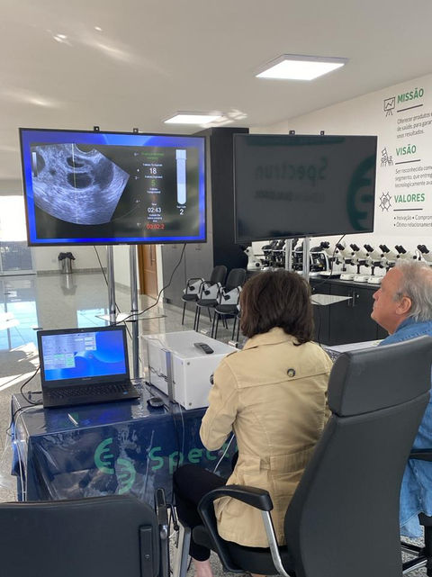 Worskhop First Simulation Brasil - Simulação em Captação de Oócitos e Transferência Embrionária