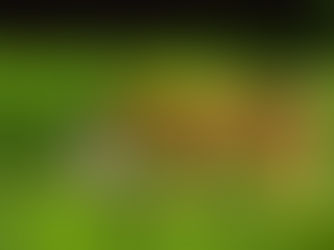 A arte...de julgar os outros!