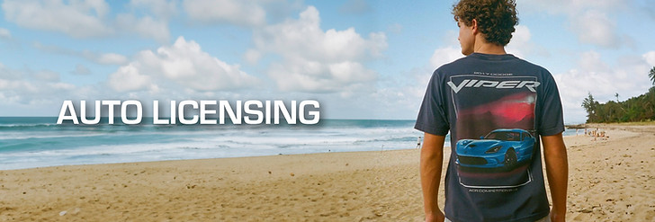 AUTO LICENSING.jpg