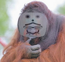 want to be monke.png
