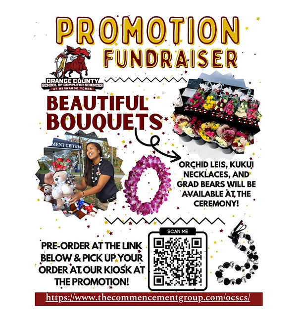 Promotion Fundraiser.jpg