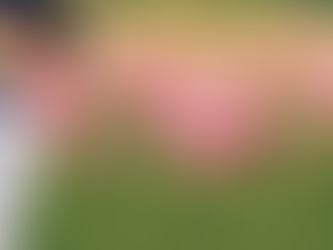 Episode 03: European's Finest River Cruise Line- AMA Waterways