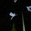 Thumbnail: Birds 3