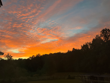 Fall Has Arrived at Blueberry Hills Ranch ✨