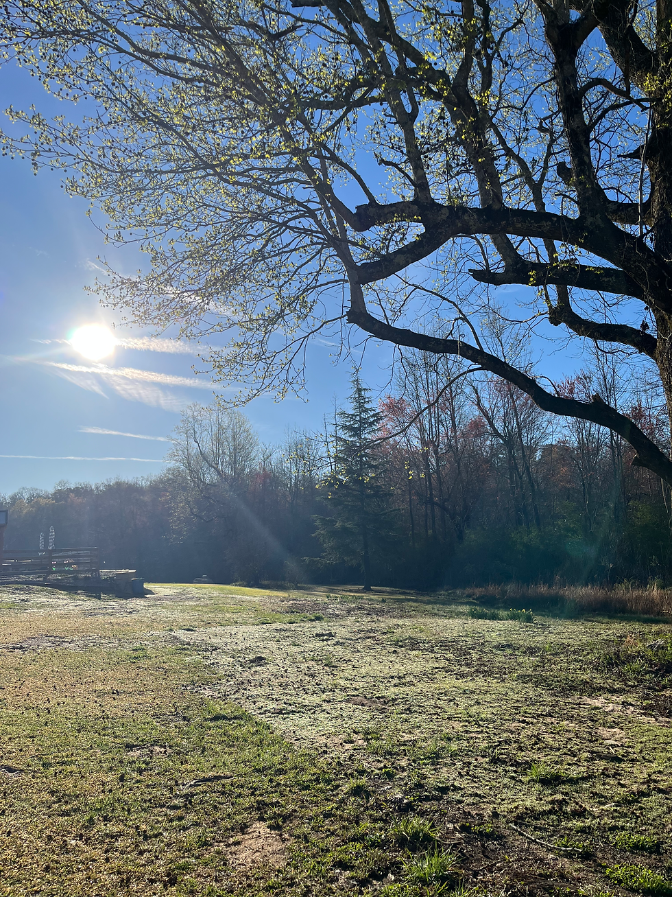 Winter Light Magic: Why January Creates the Softest, Most Cinematic Photos of the Year