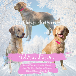 372AEFE7-17C7-4DBB-ABE9-11111F54E1FB