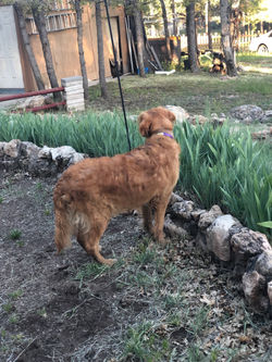 Xx2kFfVAROapaEDuyWYGZw