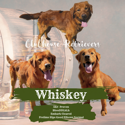 F2BF6E1E-1142-47AF-9FCC-85898FBC250C