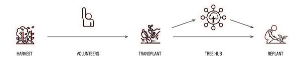 MBN Method-02.jpg