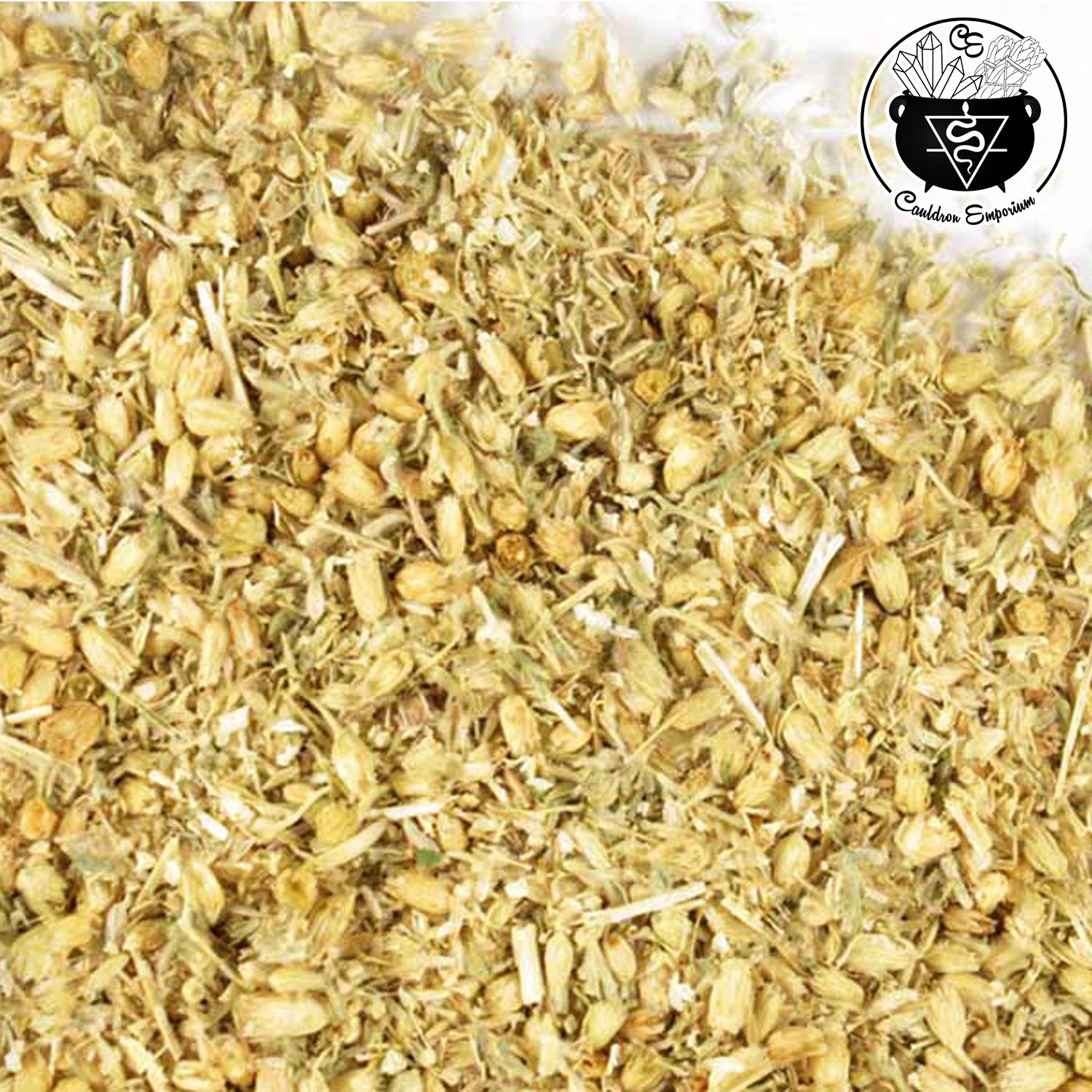 Yarrow Flower and Herb c/s