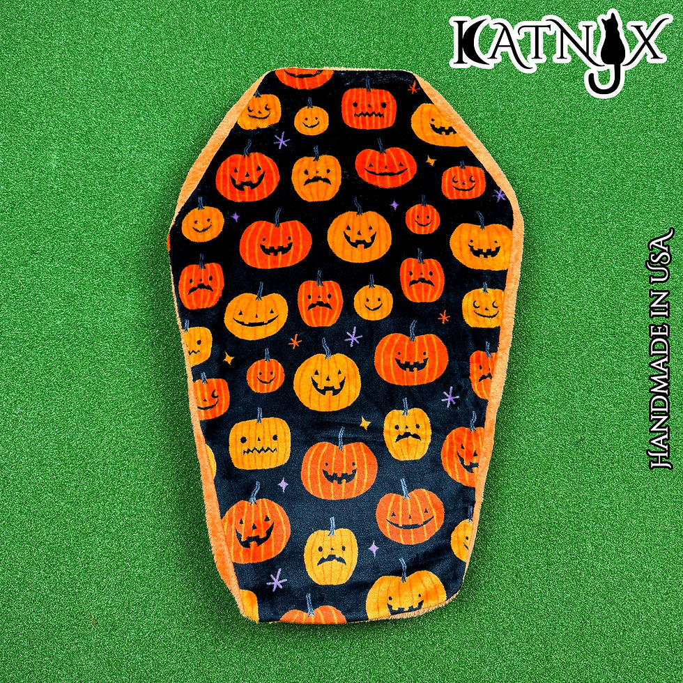 Thumbnail: Pumpkins with Orange Coffin Pet Bed