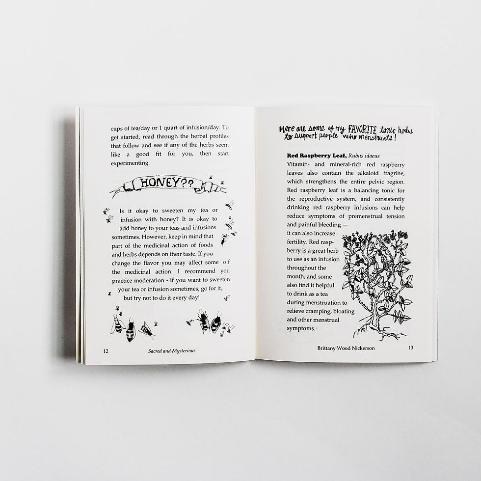 Thumbnail: Sacred and Mysterious Book