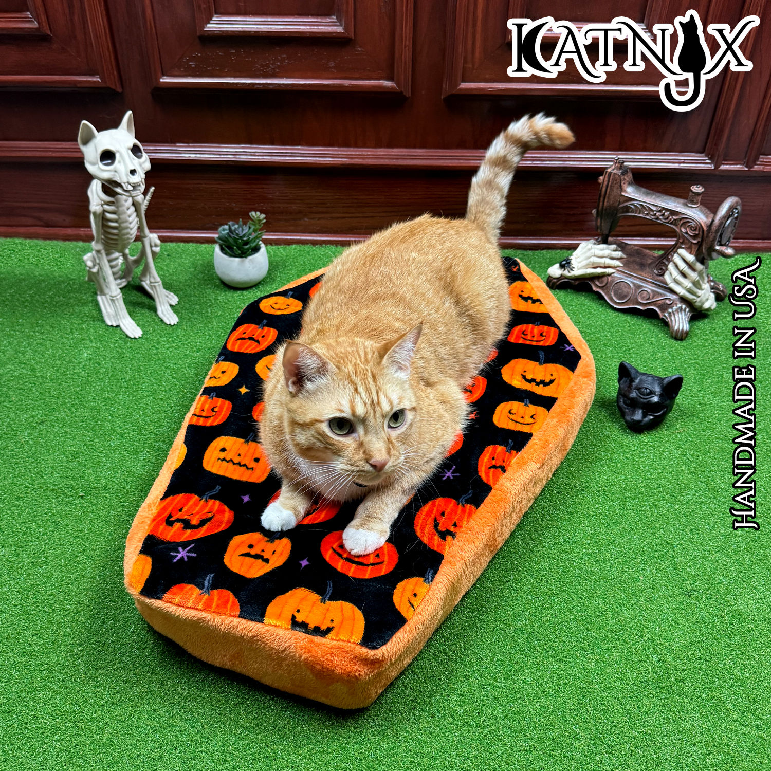 Pumpkins with Orange Coffin Pet Bed