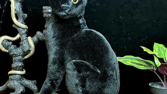Nyx Black Cat Plushie