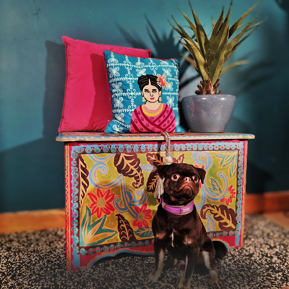 Thumbnail: Rebel Garden  | Hand Painted Chest