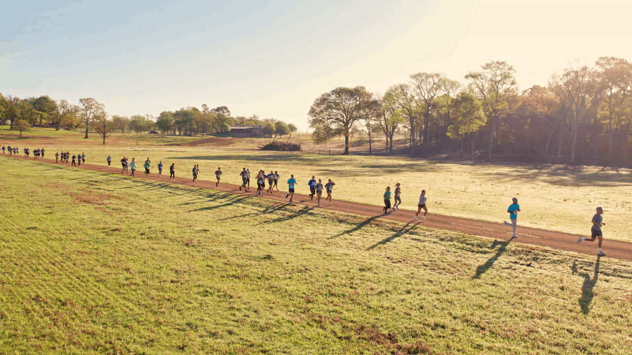 Timeline 2 GIF Small.gif