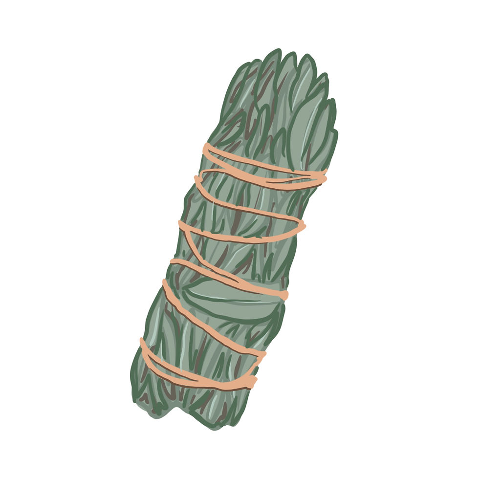 Miniatyrbilde: Salvie roller 10 ml