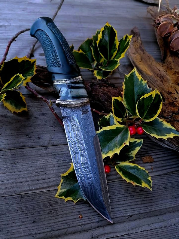 137296645_411702130045331_13626688366850