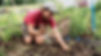 Meg%20pic_edited.jpg