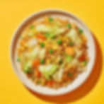 The ZEN fried rice (v) 