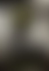 DIARIES OF OBSCURE HAPPINESS - V1