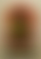 DIARIES OF OBSCURE HAPPINESS - V2