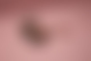 ARTIS ── 上質なヴィーガン仕様のメイクブラシ。【ブランド紹介】