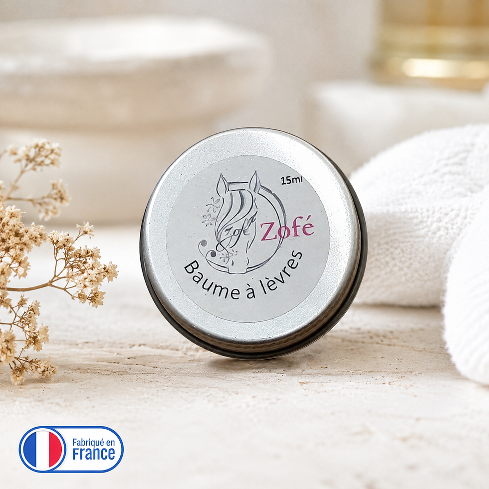baume à lèvres à la cire d'abeille et lait de jument