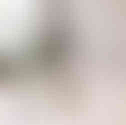 crème visage éternel au lait de jument