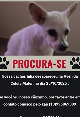 WhatsApp Image 2025-10-31 at 07.59.06.jpeg