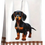 Thumbnail: Keukenhanddoeken Teckel (Dachshund) – diverse modellen (66×45 cm)