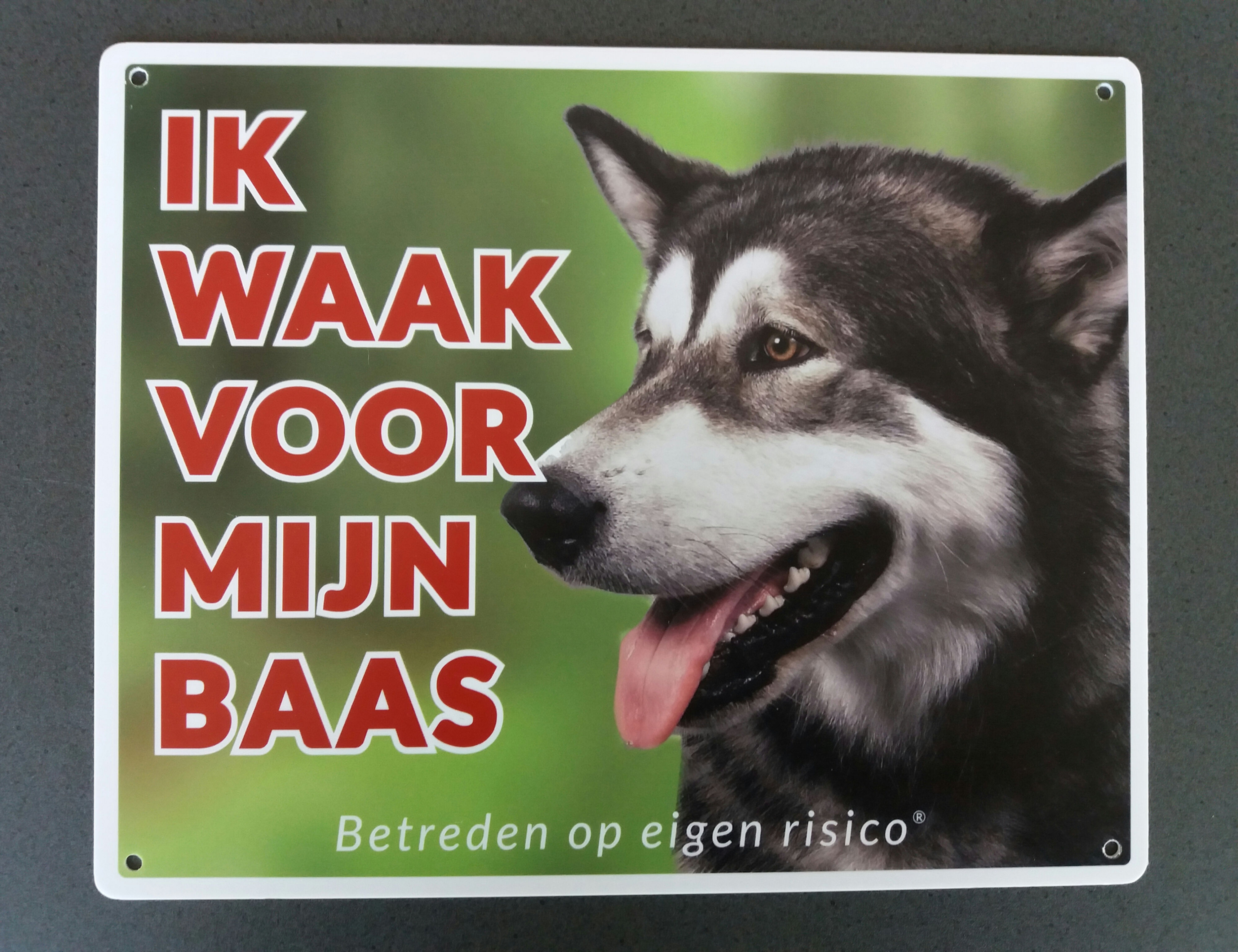 Alaskan Malamute - waakbord hond - Ik waak voor mijn baas