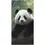 Thumbnail: Decoratief panda handdoekje – zacht, modern en schattig