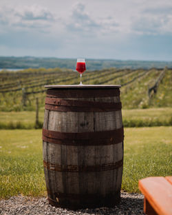 Finger Lakes - Cayuga Tourism