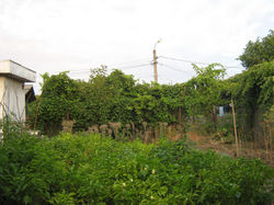 gradinaeforie1