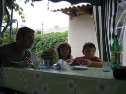 fam_camelia1
