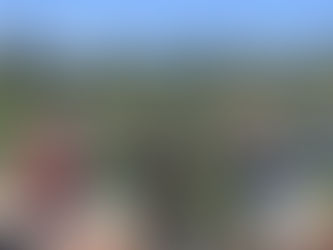 asistente virtual agrícola sostenible Maule